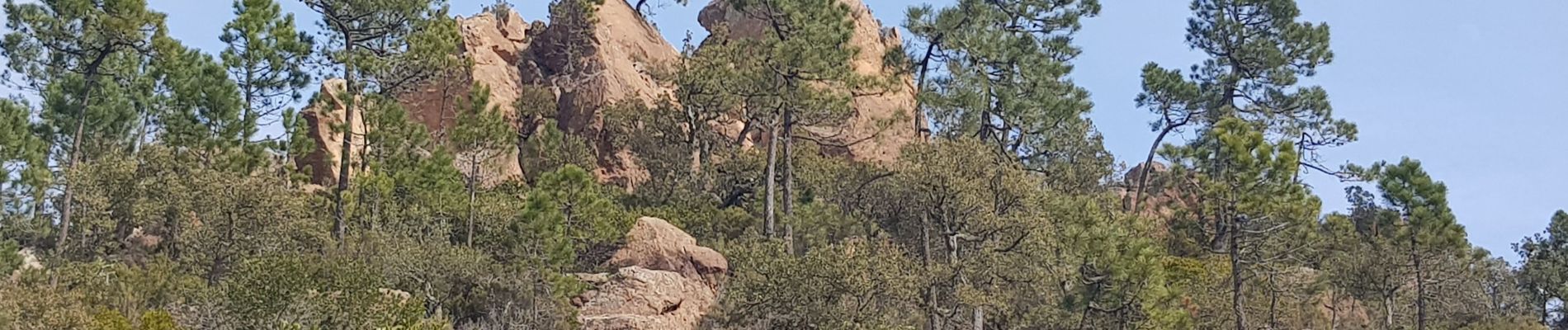 Tocht Stappen Fréjus - Mont Vinaigre - Photo