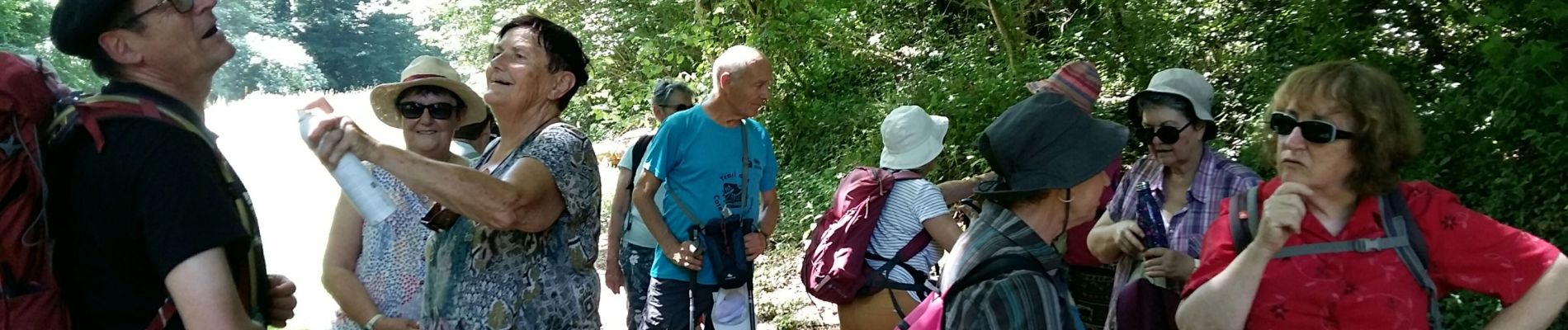 Tour Wandern Bizanos - BIZANOS RS  - Photo