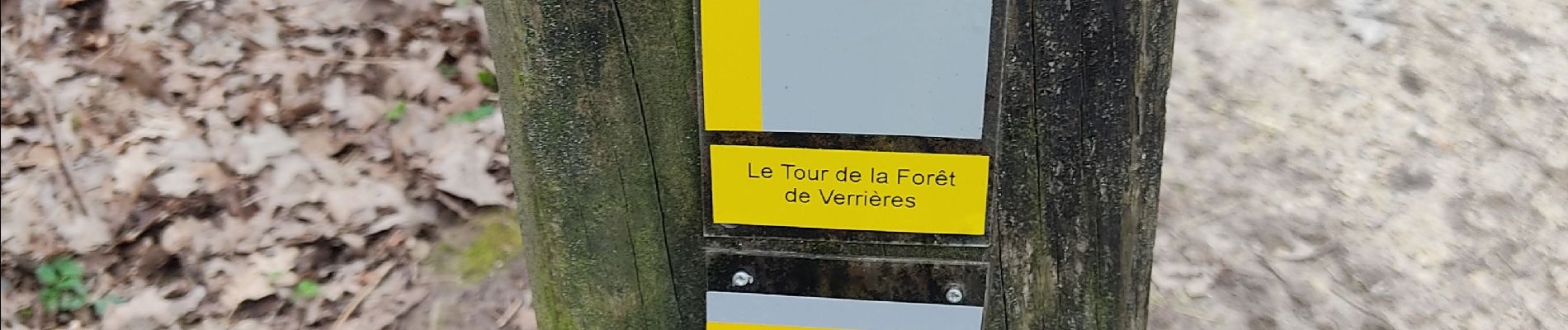 Tour Wandern Viroflay - pr6 - Photo