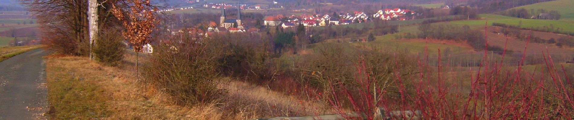 Randonnée A pied Goldkronach - Goldkronach Rundwanderweg Nr. 6 - Photo