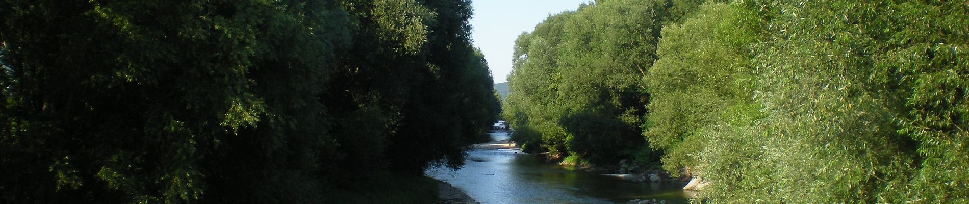 Randonnée A pied Lanzenkirchen - LA1 Frohsdorfer Weg (Lanzenkirchen - Rosalia) - Photo