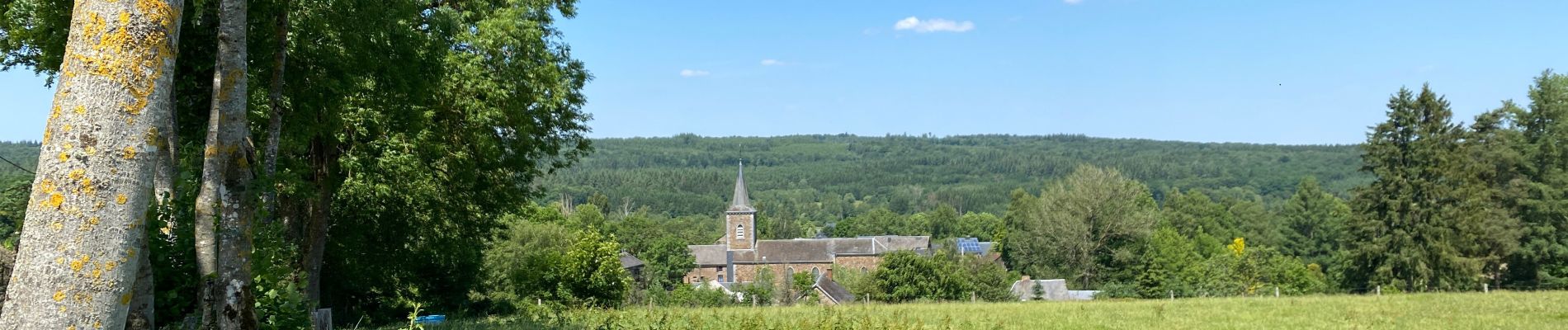 Tocht Stappen Tenneville - Journal - Photo