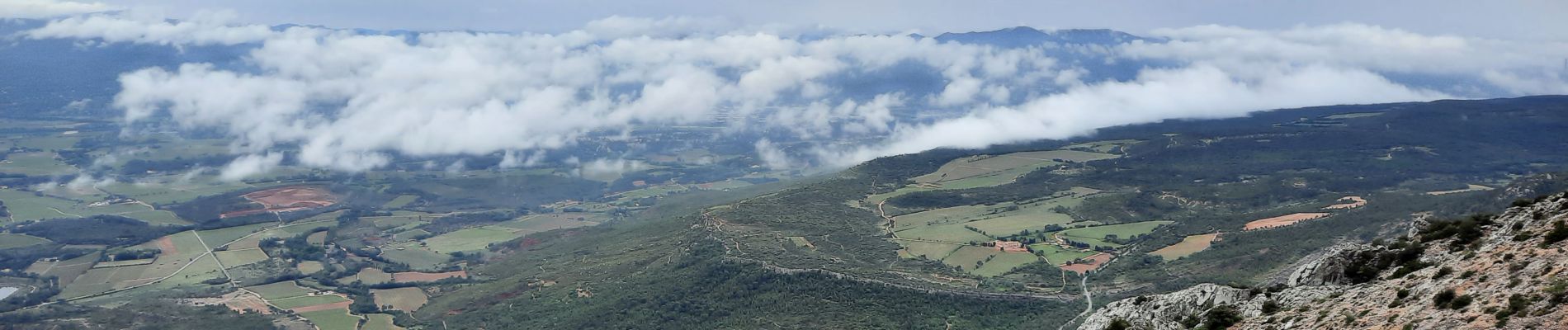 Tocht Stappen Puyloubier - Le pic des moches ste victoire - Photo