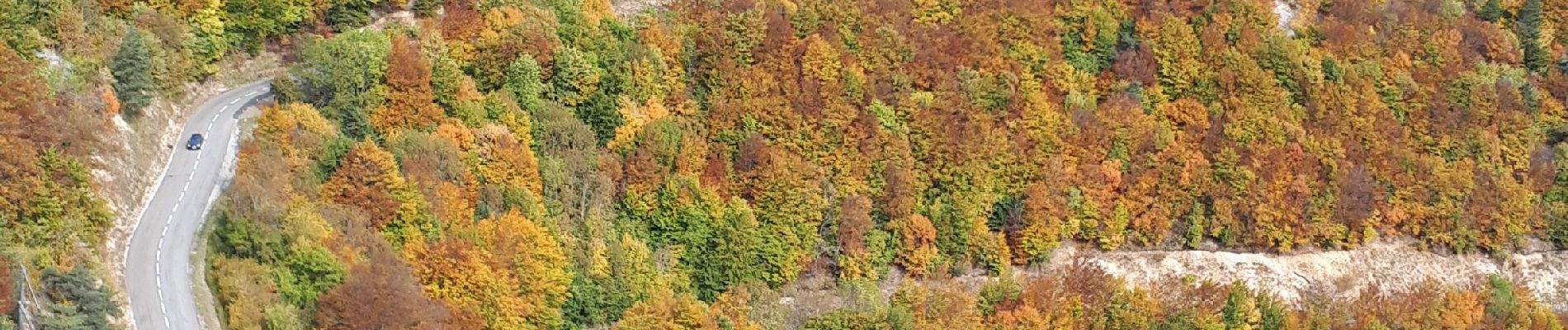 Tocht Stappen Chamaloc - Col du Rousset- But de l'aiglette  - Photo