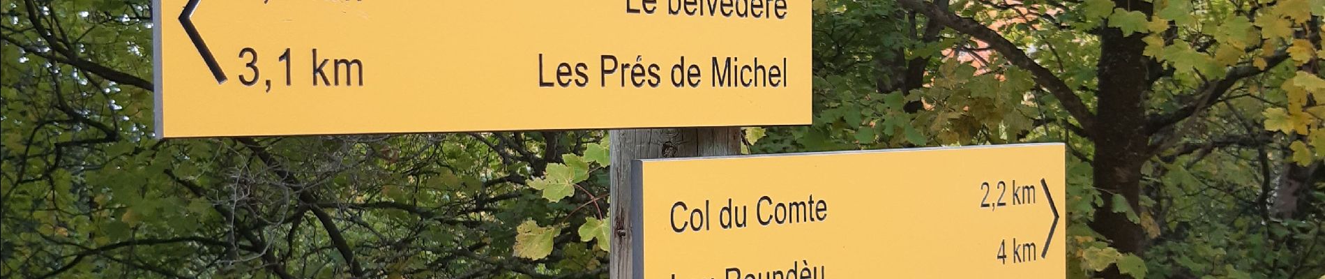 Excursión Senderismo Beaumont-du-Ventoux - le mont serein par le pré saint Michel et la bergerie Wilfrid - Photo
