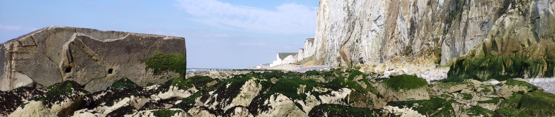 Randonnée Marche Ault - Sommes 21 : falaises Ault - Mets-les-Bains - Photo