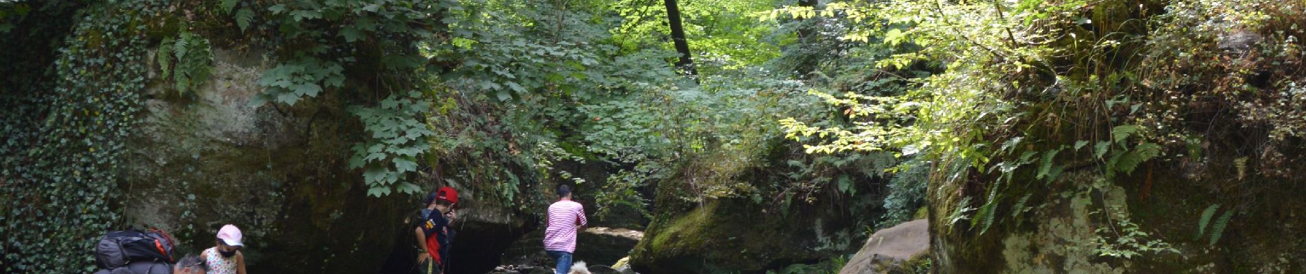 Percorso A piedi Waldbillig - mullerthal-2- 9.7 km  (102) - Photo