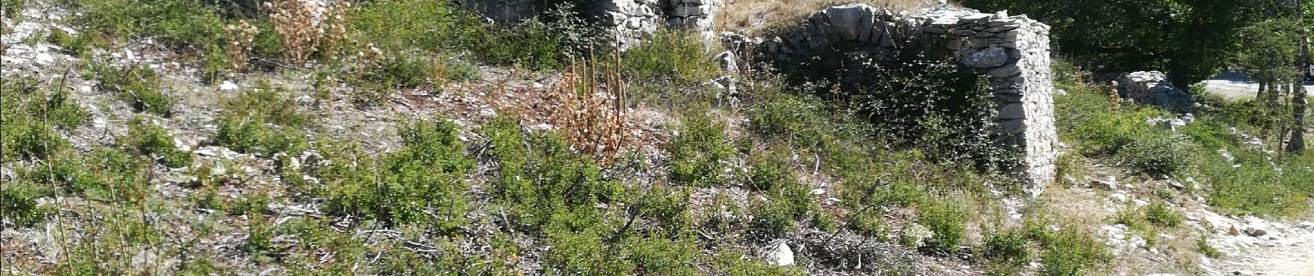 Randonnée Marche Bédoin - melettes pins noirs bergerie et jas de roussas ermitants chalet reynard  et caucadis bergerie pontes - Photo