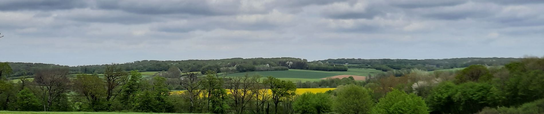 Trail Walking Sains-du-Nord - Sains du Nord le bocage le vert buisson et Brode - Photo