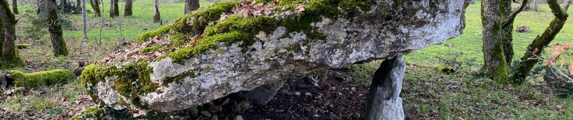 Tour Wandern Lalbenque - Lalbenque pr courbesse - Photo