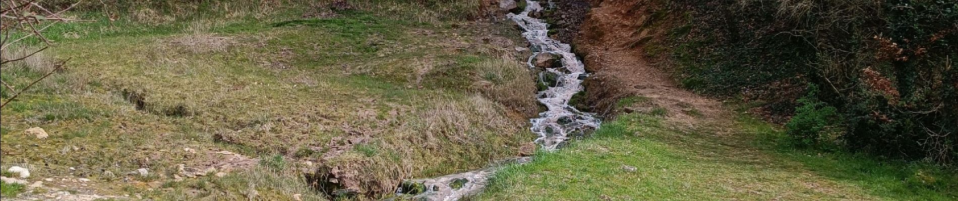 Excursión Marcha nórdica Bugarach - Le Lac de la vène -Roc de L'aigle --Le Linas  - Photo