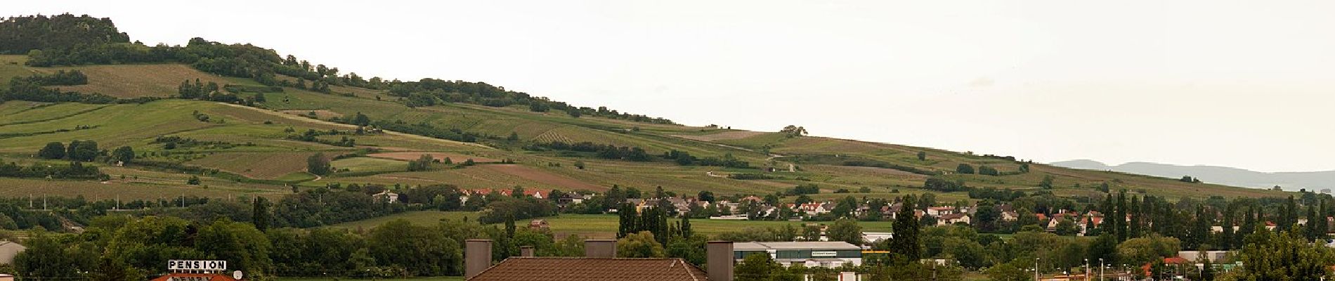 Trail On foot Gaaden - Gaaden - Anningerhaus - Photo