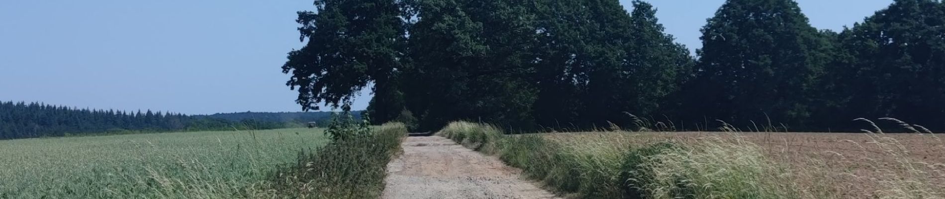 Tocht Stappen Villers-la-Ville - A la découverte de Villers-la-Ville  - Photo