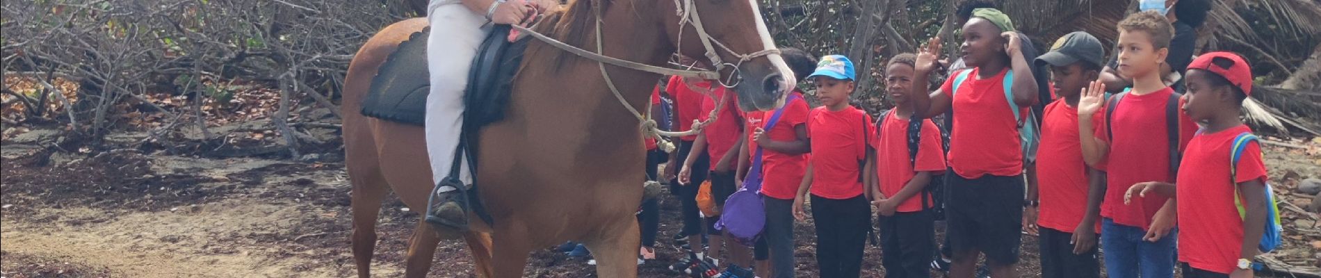 Trail Walking Le Vauclin - Randonnée scolaire - Photo