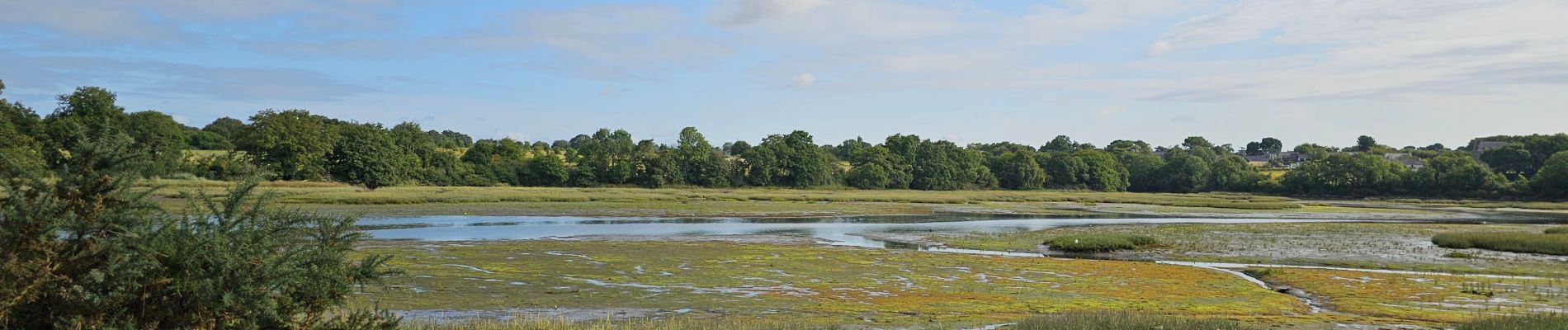 Tour Wandern Vannes - Balade_004 - Photo