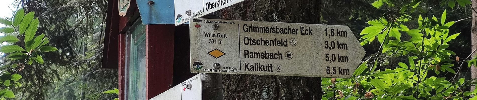 Randonnée A pied Lautenbach - Lautenbacher Teufelsteig - Photo