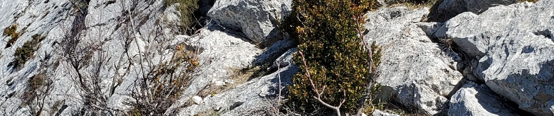 Randonnée Marche Castellane - robion sommet - Photo