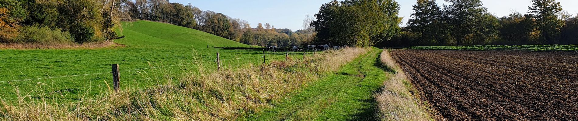 Tocht Stappen Graven - Archennes - Gottechain - Photo