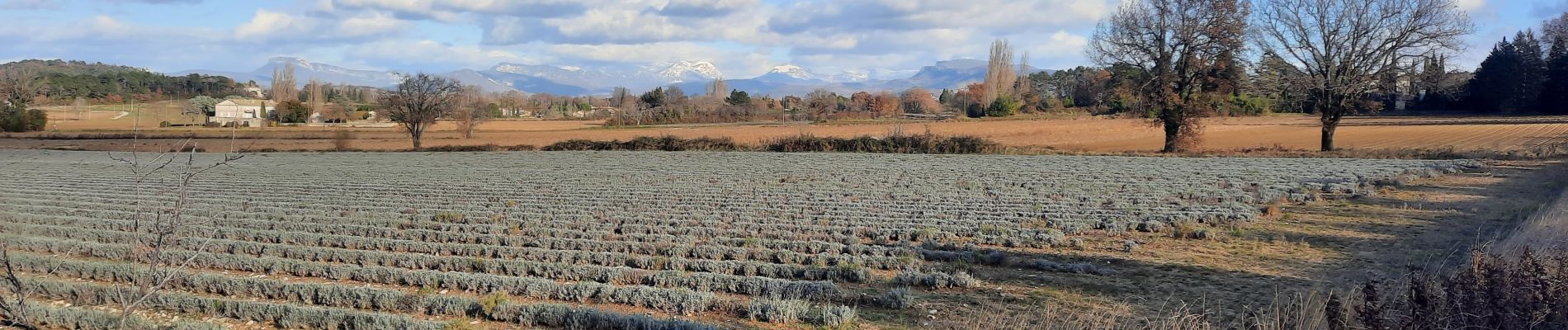 Trail Walking Puygiron - Puygiron 7km - Photo