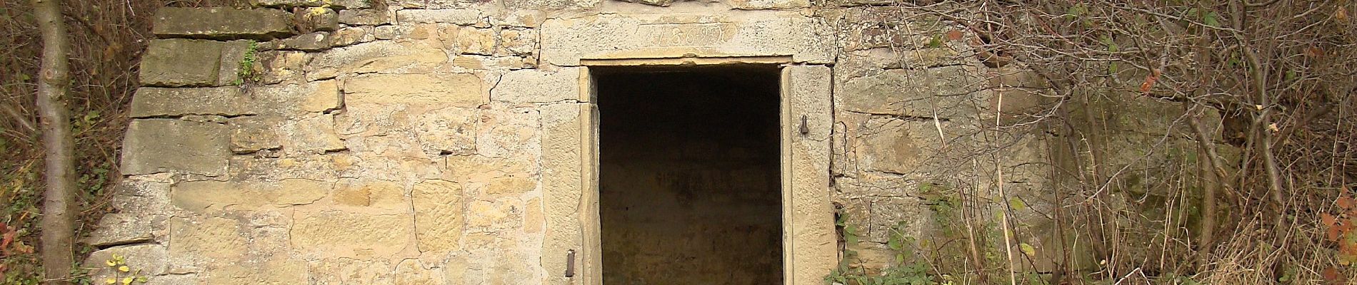 Tour Zu Fuß Kirchheim am Neckar - Weinterrassen - Photo