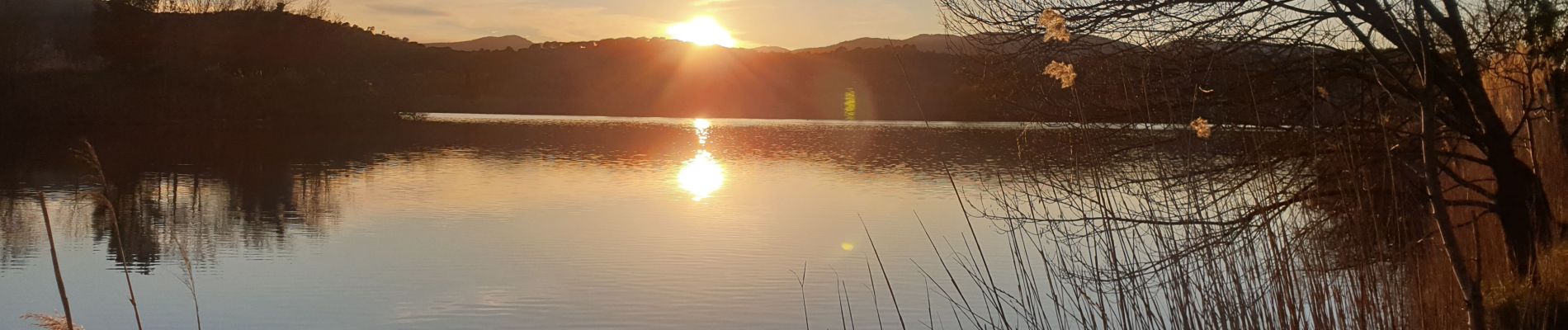 Trail Walking Fréjus - Etang de Villepey - Photo