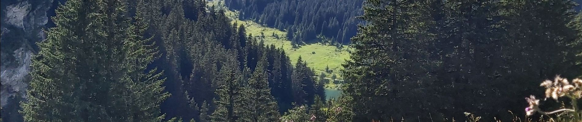 Tour Wandern Beaufort - monts des aurais, lac St guerrin - Photo