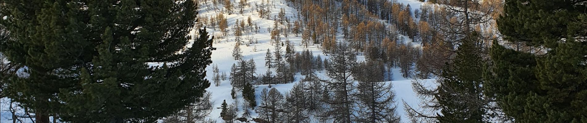 Percorso Racchette da neve Vars - Fontbonne Peynier  - Photo