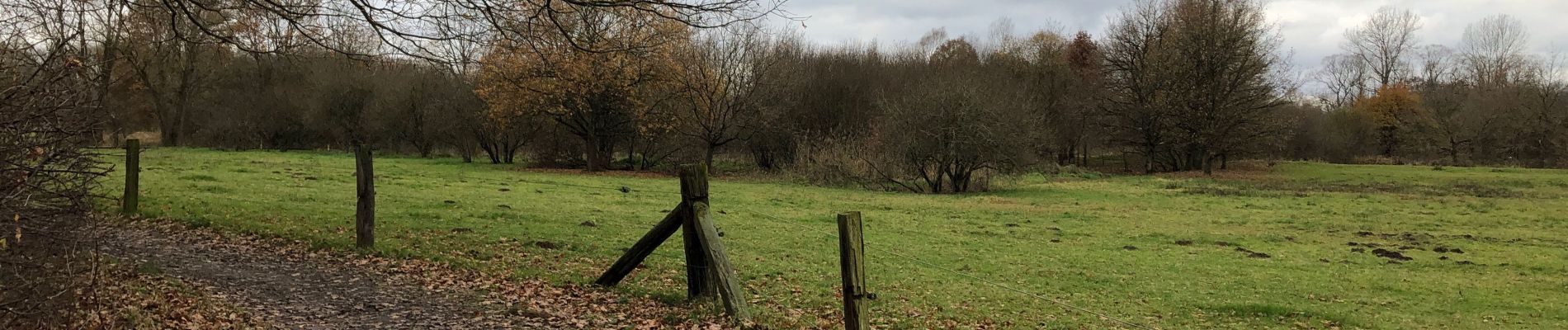 Tocht Stappen Huldenberg - Dyle - Photo