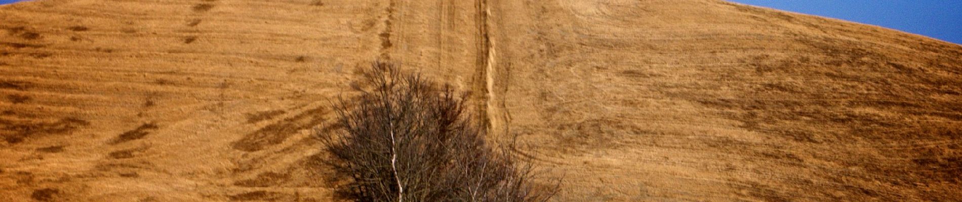 Percorso A piedi Volterra - Dolce campagna, antiche mura 22 - Photo