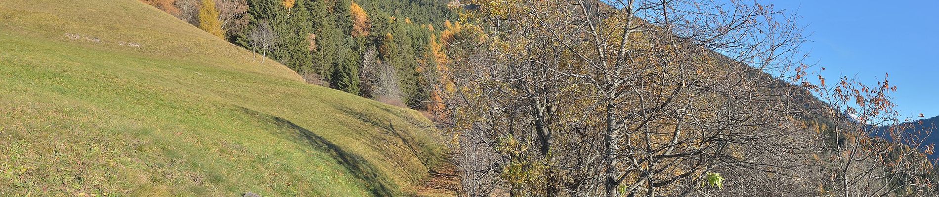 Trail On foot Lajen - Laion - IT-8A - Photo