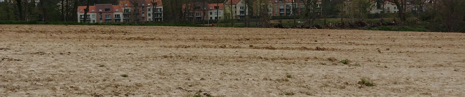 Tocht Stappen Kasteelbrakel - Promenade Piedescaus  - Photo