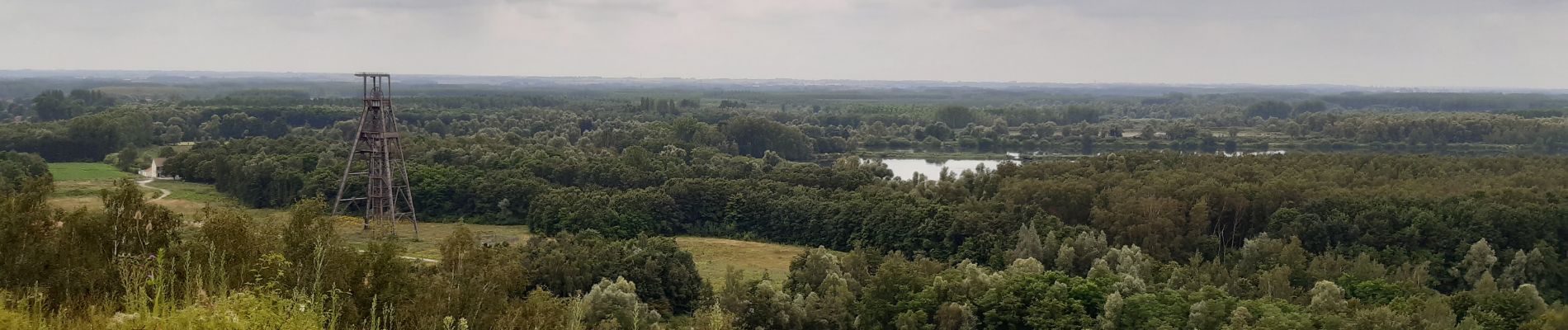 Trail Walking Péruwelz - Forêt de Bon-Secours et pays minier de l’Escaut - Photo