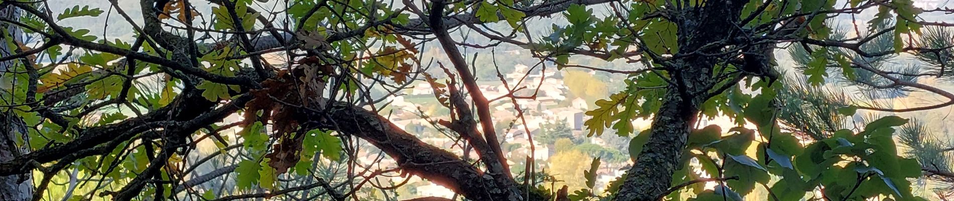 Randonnée Marche Espeluche - Espeluche : Le Bois Jamot 12km - Photo