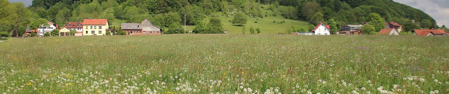 Tocht Te voet Poppenhausen - Rhön-Rundweg 9 Wachtkueppel - Photo