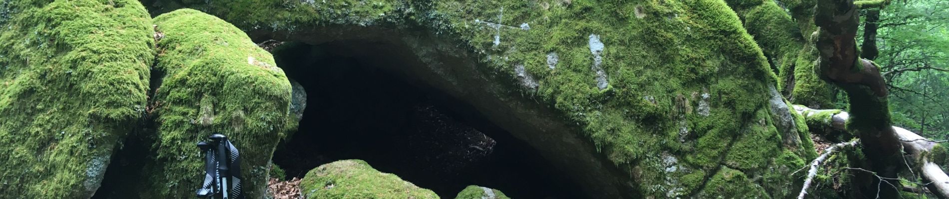 Tocht Stappen Dourbies - St Guiral par la Rouvière - Photo