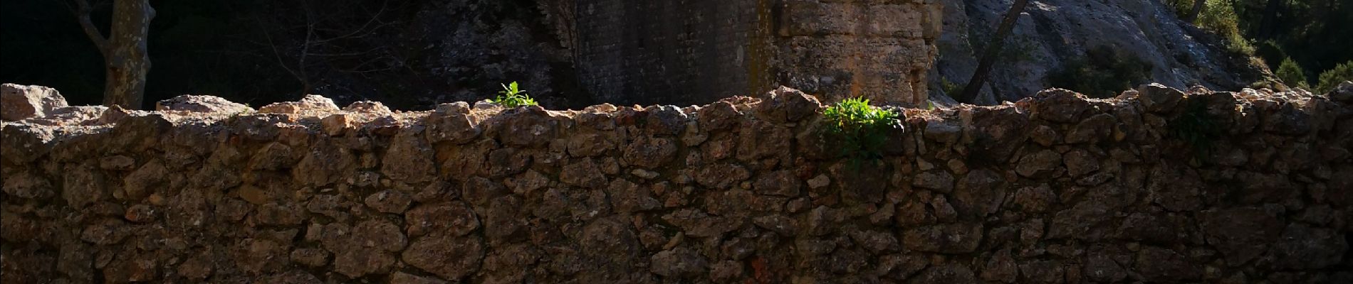 Tocht Stappen Le Tholonet - les Balcons du Tholonet - Photo