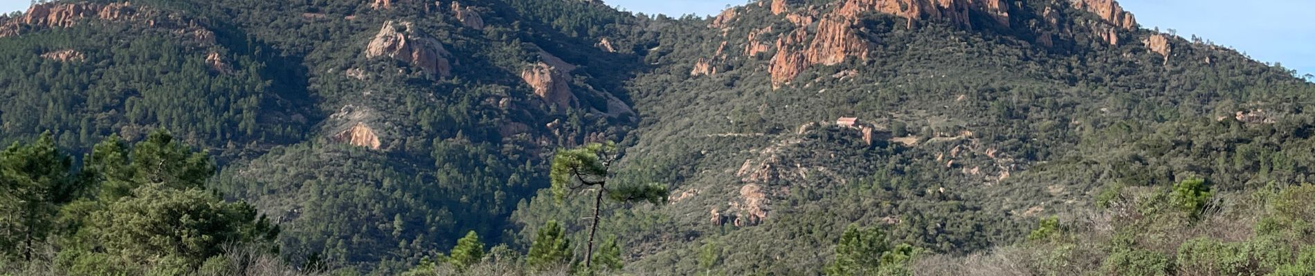 Trail Walking Saint-Raphaël - Les Suvières depuis Belle Barbe - Photo