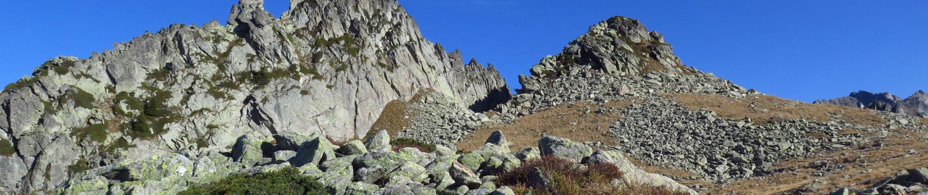 Tour Wandern Saint-François-Longchamp - du col de montjoie au grand Mas par la crête  - Photo