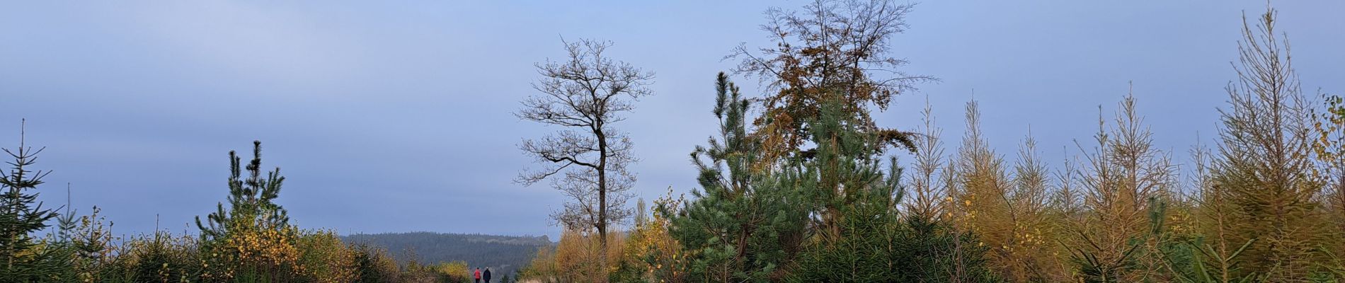 Trail Walking Rendeux - Marche ADEPS Marcourt - Photo