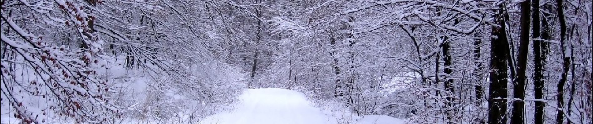 Tocht Te voet Auetal - HO9 - Roter Stein Route - Photo