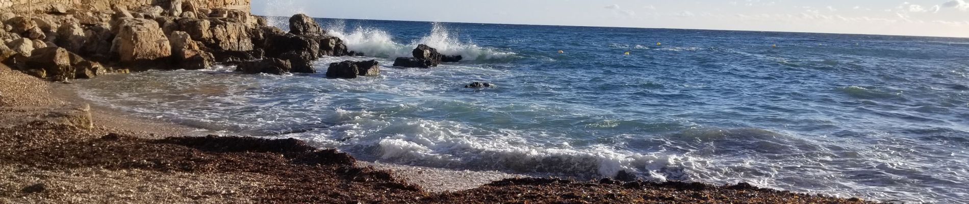 Tocht Stappen Bandol - Bandol 3 - Photo