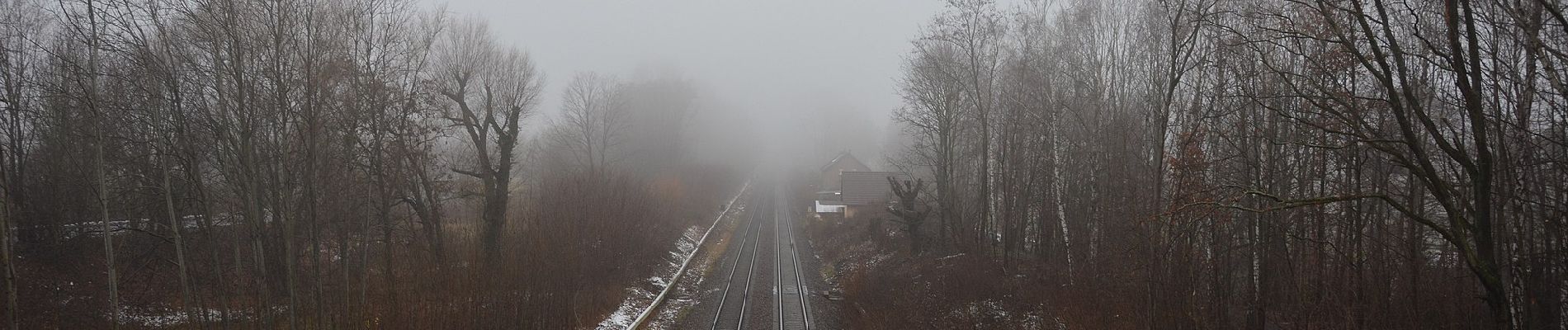 Percorso A piedi Sconosciuto - Dresdner Heide, Schere - Photo