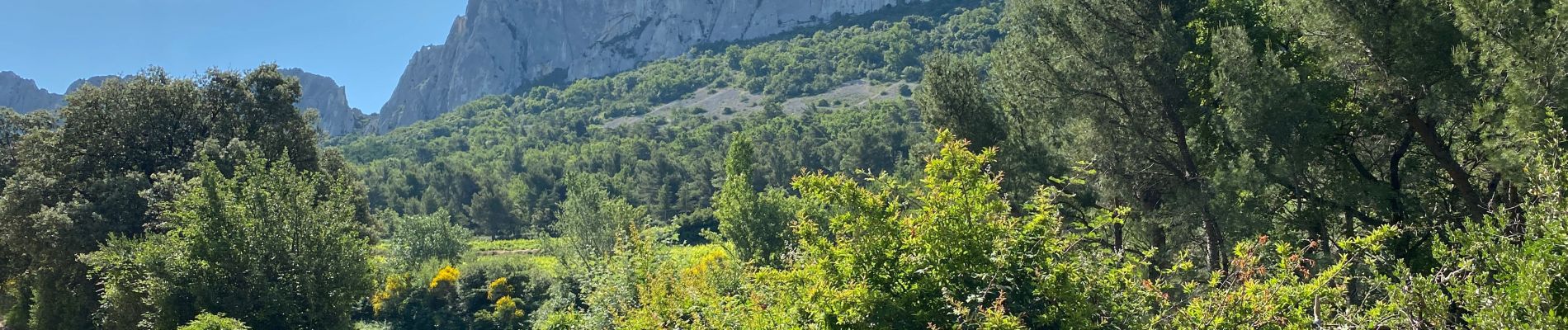 Tocht Stappen Gigondas - Dentelle  - Photo