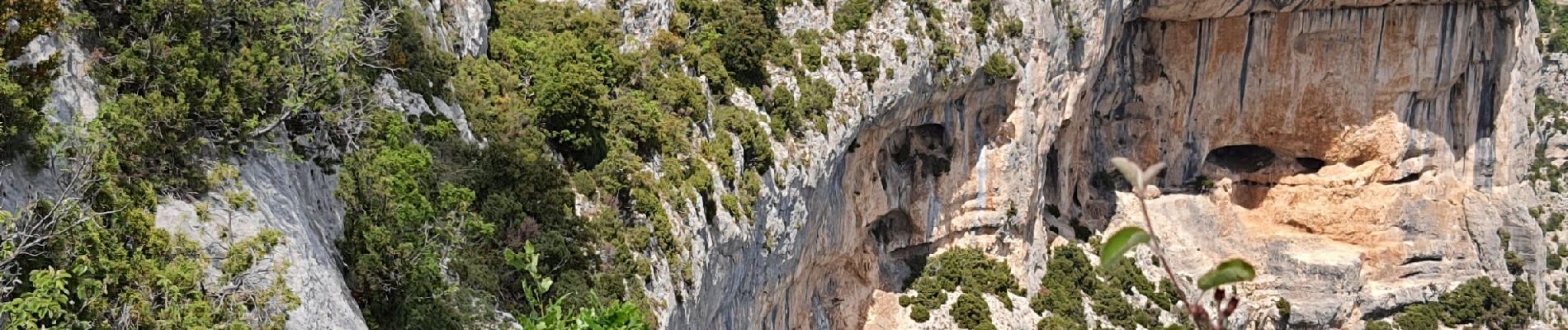 Trail Walking Monieux - saint Hubert et le rocher de Cire - Photo