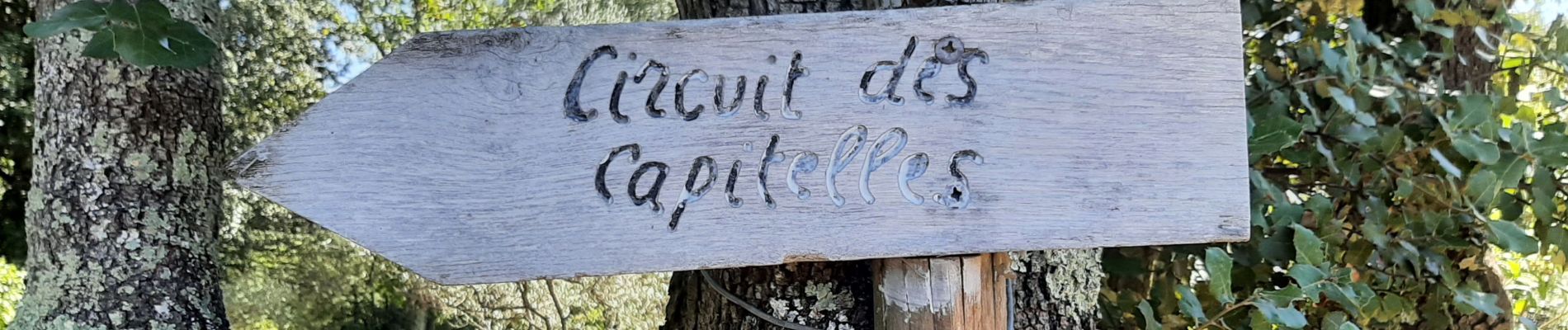 Tocht Stappen Arpaillargues-et-Aureillac - capitales 17 09 21 - Photo
