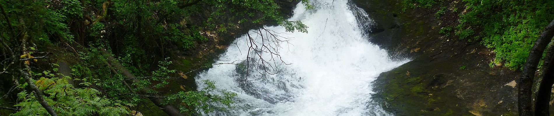 Tour Zu Fuß Ramsau bei Berchtesgaden - Almerlebnispfad - Photo