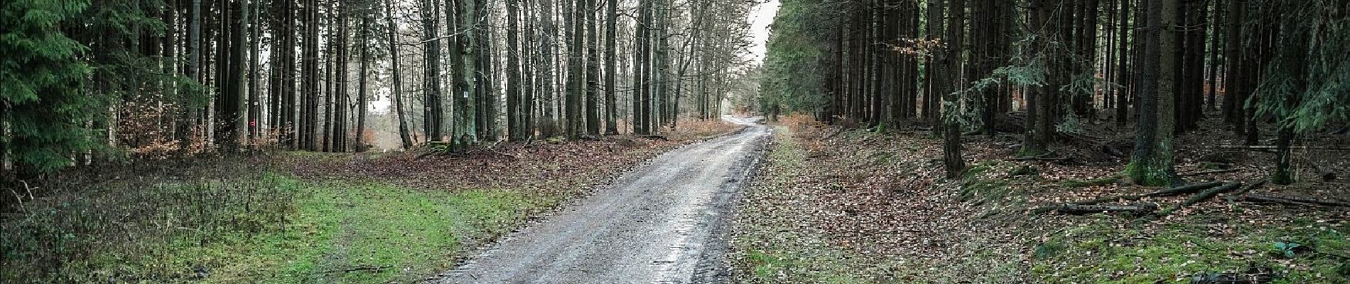 Tour Zu Fuß Weilrod - Rundweg Mauloff, Riedelbach, Tenne - Photo