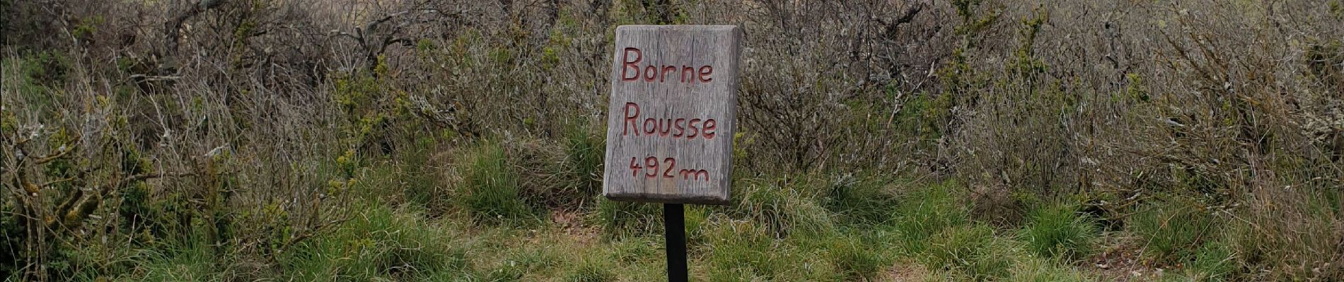 Excursión Senderismo La Laupie - Borne rousse - Photo
