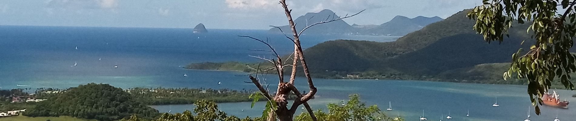 Excursión Senderismo Sainte-Anne - Piton Creve-Coeur - Photo