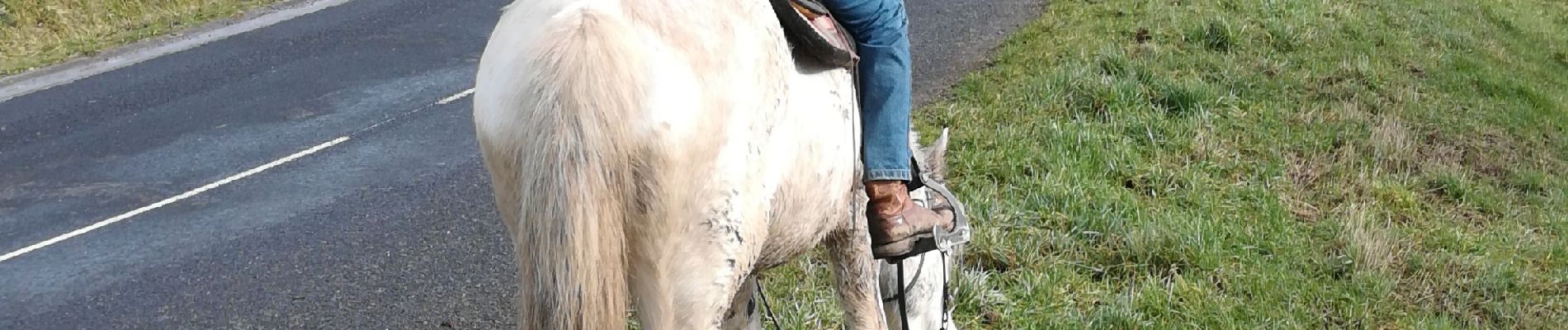 Trail Horseback riding Saint-Martin - blemerey et pneu  - Photo